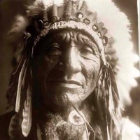 (IAA) Indigenous African Americans (@reperations4aa) 's Twitter Profile