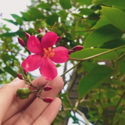 cocoro5050's profile picture. fammスクール卒　 1歳児の母