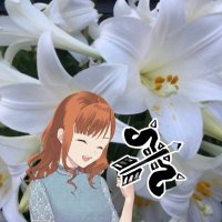 MAY（めい） (@42mayu) 's Twitter Profile Photo