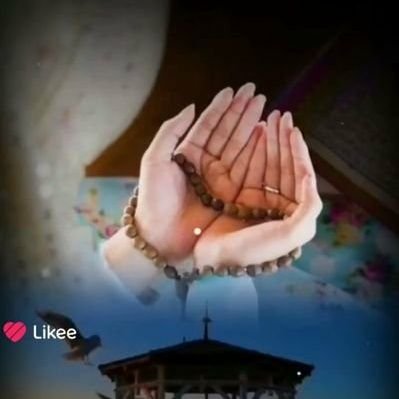 كوثر Profile