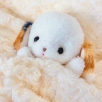 ⚫︎⚫︎37℃⚫︎⚫︎ (@37_degreeshm) 's Twitter Profile Photo ⚫︎⚫︎37℃⚫︎⚫︎ (@37_degreeshm) 's Twitter Profile Photo