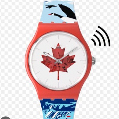 steveottawa's profile picture. 🇺🇦🇨🇦 Founder: Common Sense
