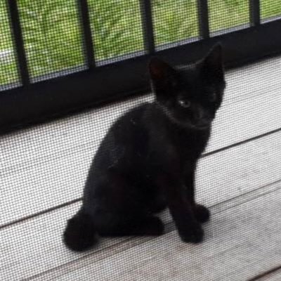 a11or74ng11's profile picture. 生き物飼育、動物虐待など