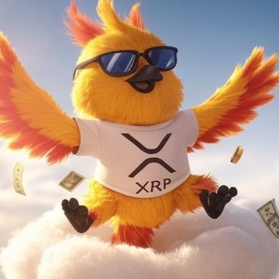dodgeortake's profile picture. 