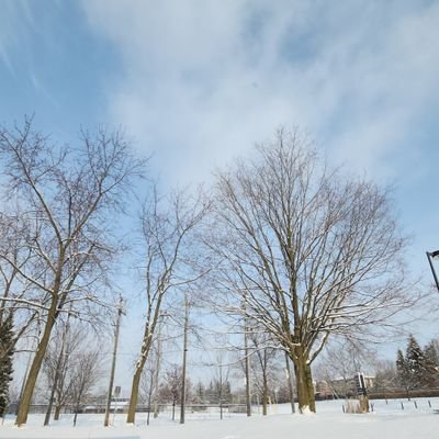 juneporue's profile picture. 