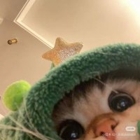 🌝 (@kucukbrokoli) Twitter profile photo