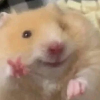 freej795's profile picture. 