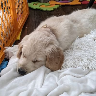 SpartanSky07's profile picture. 