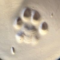 Kat7 π (@curious_kat7) 's Twitter Profile