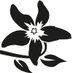 summerflowers.nl (@summerflowersnl) Twitter profile photo summerflowers.nl (@summerflowersnl) Twitter profile photo