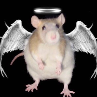ratangel333's profile picture. 