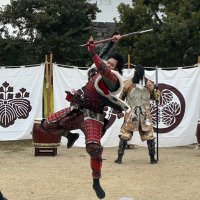 大雅@武将隊家臣鷹党ライバーブレーダープリティーシリーズファン (@aichimach31249) 's Twitter Profile