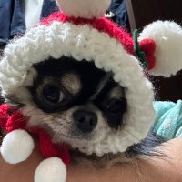浪士 (@roushi2018) 's Twitter Profile Photo