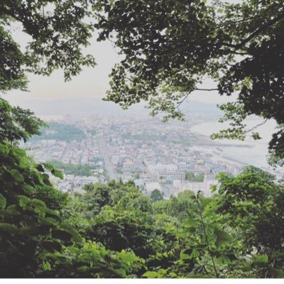 ringo_no_naka's profile picture. のんびり ぼんやり ° ° ＊° ° ＊° ＊ ＊ - -- --- ✈︎