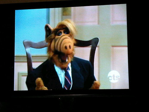 ALFSMACK's profile picture. Get your head out of your ass