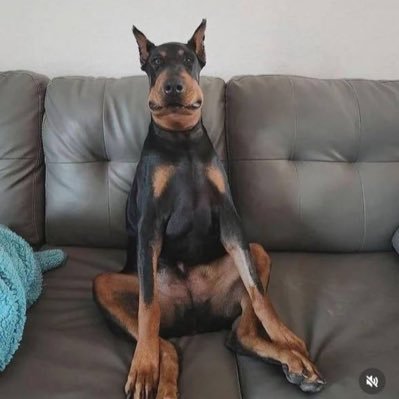 fahamiltons's profile picture. Receipts.