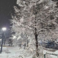 Chrisbont 🛸 (@chrisbond072) 's Twitter Profile