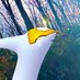 é€
ã©ã㣠(@latias_mochi) Twitter profile photo é€
ã©ã㣠(@latias_mochi) Twitter profile photo