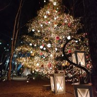 藤香 (@touka_snowflake) 's Twitter Profile Photo