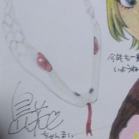 はまっち (@hamachi_tw) Twitter profile photo