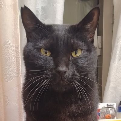 びんごぼんごさんのプロフィール画像