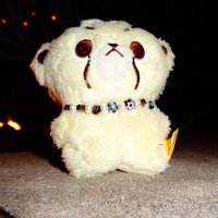 🐯 (@cheetahleedaily) 's Twitter Profile Photo 🐯 (@cheetahleedaily) 's Twitter Profile Photo