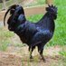 linyeba (@linyeba) Twitter profile photo linyeba (@linyeba) Twitter profile photo