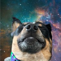 Andr3s (@andres_s_aldaco) 's Twitter Profile