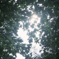 조두현 ˚ᴥ˚ (@encimdudu) 's Twitter Profile