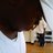 bizzlepolo_king's profile image
