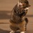 kelas3269630's profile image
