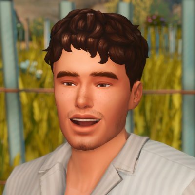 @ludicsim