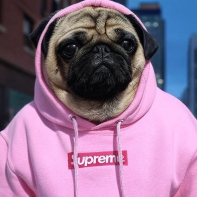 I like what Drake likes 🦉 Superhero by day Pimp by night 💎 Crypto expert: sell your grandma and get some bitcoins 💸 Supreme connoisseur 🥂💯❤️