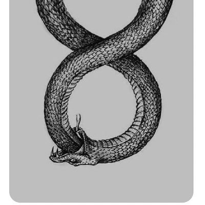 ohluuu_'s profile picture. Contributing to the neXt web