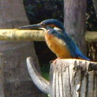Steve Lawton (@stevel1955) 's Twitter Profile