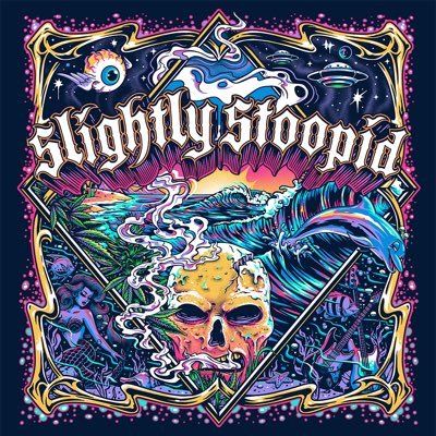 Slightly Stoopid Profile