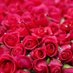 Ranjith (@ranjith909549) Twitter profile photo Ranjith (@ranjith909549) Twitter profile photo