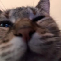 andiemackenzie (@andiemackenzie1) 's Twitter Profile