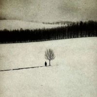 Tuba (@tuba_k_l) 's Twitter Profile Photo Tuba (@tuba_k_l) 's Twitter Profile Photo