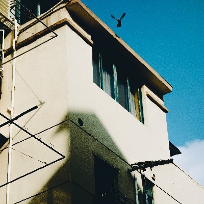 中国の哲学研究者、特に心の哲学を関心する。普通にはアイドルオタクだ。推しメンはミラミラもえちゃん🐸のみ。推し:ミラミラ全員、PRSMINあやの、axelightみこと、plevail あをい、Quubi紬、終わらないで、夜りり、よろしくお願いします。