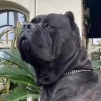 king J (@fwb_link) Twitter profile photo