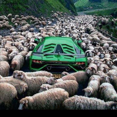 4Xican's profile picture. Work Hard and Enjoy Life! It's too short not to be 💯. God/Merica/Crypto/Hex/Patriot