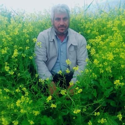 Ali_Dogan21's profile picture. 