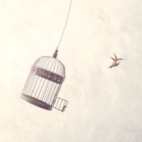 FreeThinker (@wla1103) 's Twitter Profile Photo FreeThinker (@wla1103) 's Twitter Profile Photo