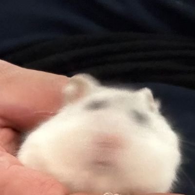 maca_back's profile picture. 야짤없어요
R18 X
현생+우울+빨간약