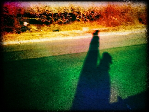 senziyo's profile picture. 