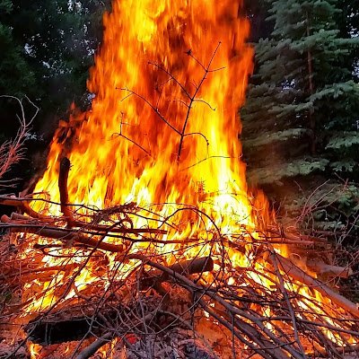 SebTV98's profile picture. 