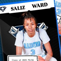 Saliz (@salizward) 's Twitter Profile