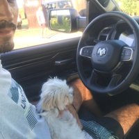 Falgchwen (@falgchwen) 's Twitter Profile