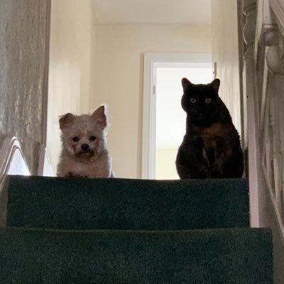 merseybowls's profile picture. Crown green bowler & administrator & Liverpool supporter